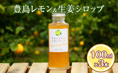 豊島レモン＆生姜シロップ 100ml×3本 果物類 柑橘類 檸檬 シロップ 2523022 - 香川県土庄町