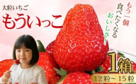 もういっこ いちご 銚子産 大粒 苺 イチゴ [1月下旬〜4月下旬頃発送] 農園直送 直売所 直送 もういっこ 食べたくなる おいしさ 希少 希少種 甘い 高糖度 旬 酸味 食べやすい フルーツ 果物 デザート ジャム SNS映え お取り寄せ 通販 贈答用 家庭用 ギフト 10,000 10000円 一万円 ふるさと納税 ふるさと納税いちご ふるさと納税フルーツ 千葉県銚子市 岩瀬農園