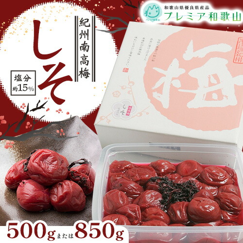 梅干し 紀州南高梅 しそ 塩分 約15% 500g 850g 1パック 《60日以内に出荷予定(土日祝除く)》 株式会社やまだ 和歌山県 日高町 梅 しそ しそ梅 梅干し 米 おかず 国産 梅干し うめぼし 梅干 送料無料 2523072 - 和歌山県日高町