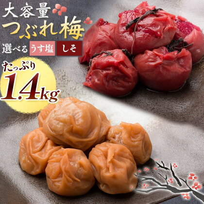 梅干し 紀州南高梅 つぶれ梅 大容量 花 うす塩 しそ 1.4kg 700g ×2パック 《60日以内に出荷予定(土日祝除く)》 株式会社やまだ 和歌山県 日高町 梅 塩 梅干 うめぼし 米 おかず しそ漬 国産 送料無料 2523076 - 和歌山県日高町