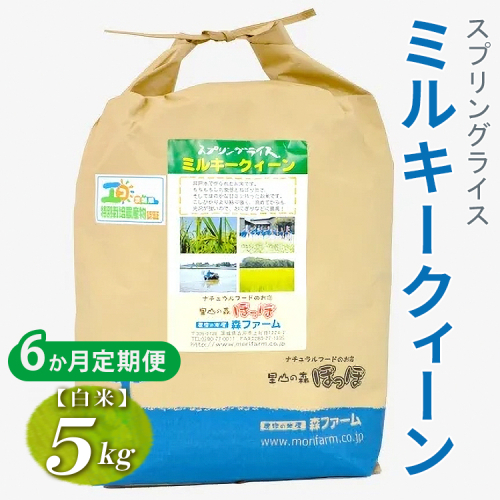【定期便6か月】令和7年産 6か月毎月届く！スプリングライス ミルキークィーン (白米) 5kg | 定期便 こめ 米 コメ 白米 白飯 精米 茨城県産 国産 茨城県 古河市 こだわり おいしい 2025年産 _FN19 2523123 - 茨城県古河市