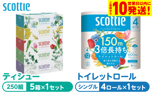 【スコッティ】 組み合わせ ティシュー フラワーボックス 250組 5箱 トイレットロール シングル フラワーパック 3倍長持ち 4ロール ティッシュ トイレットペーパー 日用品 防災備蓄 ストック 備蓄 新生活 防災 消耗品 生活用品 日用消耗品 箱ティッシュ 熊本県 八代市 2523125 - 熊本県八代市