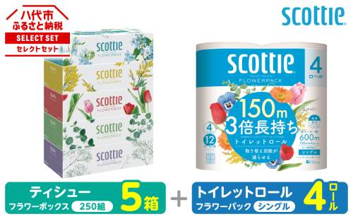 【スコッティ】 組み合わせ ティシュー フラワーボックス 250組 5箱 トイレットロール シングル フラワーパック 3倍長持ち 4ロール ティッシュ トイレットペーパー 日用品 防災備蓄 ストック 備蓄 新生活 防災 消耗品 生活用品 日用消耗品 箱ティッシュ 熊本県 八代市 2523125 - 熊本県八代市