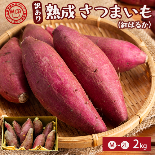 【2027年1月以降発送】 【訳あり】 舞鶴産 熟成さつまいも 2kg （紅はるか） 無選別 M～2L混合 | サツマイモ 完熟 越冬 熟成 焼き芋用 ねっとり 高糖度 無農薬 スイーツ 蜜芋 キュアリング 秋収穫 保存食 京都 舞鶴 2523126 - 京都府舞鶴市