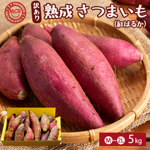 【2027年1月以降発送】 【訳あり】 舞鶴産 熟成さつまいも 5kg （紅はるか） 無選別 M～2L混合 | 紅はるか さつまいも 越冬 熟成 焼き芋用 ねっとり 高糖度 無農薬 京都 舞鶴 5kg スイーツ 蜜芋 キュアリング 秋収穫 保存食 2523127 - 京都府舞鶴市