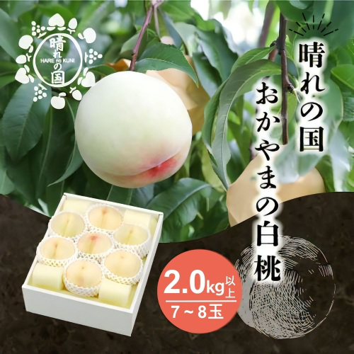 【先行予約】晴れの国 おかやま 白桃2.0kg以上（7～8玉）【８月中旬～９月上旬発送】桃 もも モモ はくとう  フルーツ 果物 ピーチ 朝採れ 朝採り 新鮮 旬 食べごろ 食べ頃 岡山産 岡山県産  産地直送 産直 特産 特産品 送料無料 岡山県 鏡野町【021-a027】 2523264 - 岡山県鏡野町