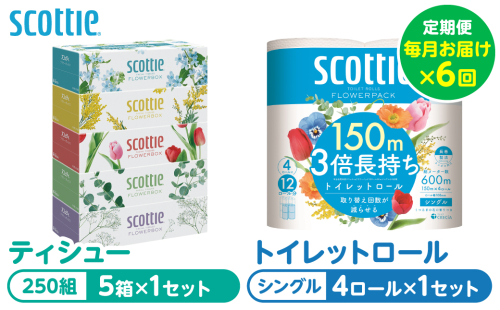 【定期便6回】【毎月お届け】【スコッティ】 組み合わせ ティシュー フラワーボックス 250組 5箱 計30箱 トイレットロール シングル フラワーパック 3倍長持ち 4ロール 計24ロール ティッシュ トイレットペーパー 日用品 防災備蓄 ストック 備蓄 新生活 防災 消耗品 生活用品 日用消耗品 箱ティッシュ 熊本県 八代市 2523336 - 熊本県八代市