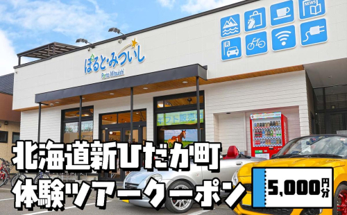 北海道 新ひだか町 体験 ツアー クーポン 5,000円分 日高 三石 釣り 星空 観賞 日高山脈 眺望ツアー 馬 サラブレッド 牧場 見学 2523523 - 北海道新ひだか町