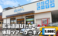 北海道 新ひだか町 体験 ツアー クーポン 5,000円分 日高 三石 釣り 星空 観賞 日高山脈 眺望ツアー 馬 サラブレッド 牧場 見学