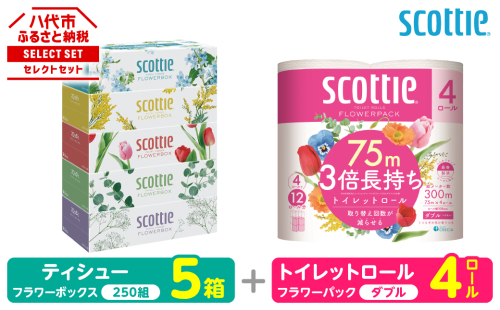 【スコッティ】 組み合わせ ティシュー フラワーボックス 250組 5箱 トイレットロール ダブル フラワーパック 3倍長持ち 4ロール ティッシュ トイレットペーパー 日用品 防災備蓄 ストック 備蓄 新生活 防災 消耗品 生活用品 日用消耗品 箱ティッシュ 熊本県 八代市 2523524 - 熊本県八代市