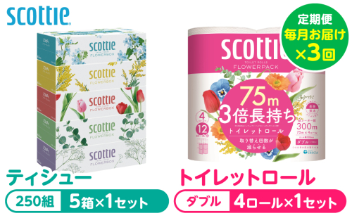 【定期便3回】【毎月お届け】【スコッティ】 組み合わせ ティシュー フラワーボックス 250組 5箱 計15箱 トイレットロール ダブル フラワーパック 3倍長持ち 4ロール 計12ロール ティッシュ トイレットペーパー 日用品 防災備蓄 ストック 備蓄 新生活 防災 消耗品 生活用品 日用消耗品 箱ティッシュ 熊本県 八代市 2523525 - 熊本県八代市