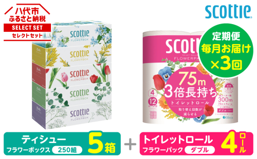【定期便3回】【毎月お届け】【スコッティ】 組み合わせ ティシュー フラワーボックス 250組 5箱 計15箱 トイレットロール ダブル フラワーパック 3倍長持ち 4ロール 計12ロール ティッシュ トイレットペーパー 日用品 防災備蓄 ストック 備蓄 新生活 防災 消耗品 生活用品 日用消耗品 箱ティッシュ 熊本県 八代市 2523525 - 熊本県八代市