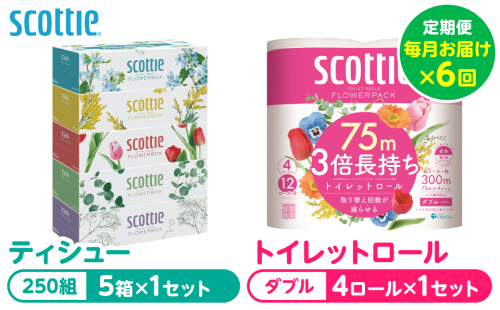 【定期便6回】【毎月お届け】【スコッティ】 組み合わせ ティシュー フラワーボックス 250組 5箱 計30箱 トイレットロール ダブル フラワーパック 3倍長持ち 4ロール 計24ロール ティッシュ トイレットペーパー 日用品 防災備蓄 ストック 備蓄 新生活 防災 消耗品 生活用品 日用消耗品 箱ティッシュ 熊本県 八代市 2523526 - 熊本県八代市