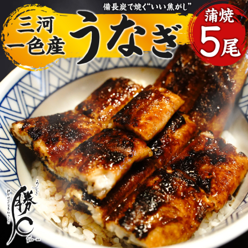 【備長炭で焼く“いい焦がし”】三河一色産うなぎの蒲焼5尾 鰻 ウナギ たれ タレ 国産 備長炭 土用 丑の日 冷凍 三河一色産 H189-014 2523552 - 愛知県碧南市