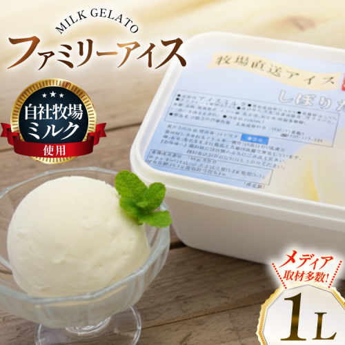 テレビで紹介！ アイス ジェラート ミルク 1L ファミリーサイズ [岩瀬牧場 北海道 砂川市 12260967] 冷凍 アイスクリーム 詰め合わせ スイーツ 2523602 - 北海道砂川市