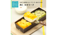 1本で2度おいしい カタラーナ 【 マンゴー ＆ キウイ 杏仁 】| プリン ブリュレ スイーツ お菓子 洋菓子 おやつ ギフト プレゼント 贈り物 箱付き 冷凍 長野県 飯田市 信州