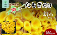 たもぎだけ 180g×1 【 ふるさと納税 人気 おすすめ ランキング たもぎだけ 王金たもぎ 北海道 七飯町 送料無料 】 NAT017