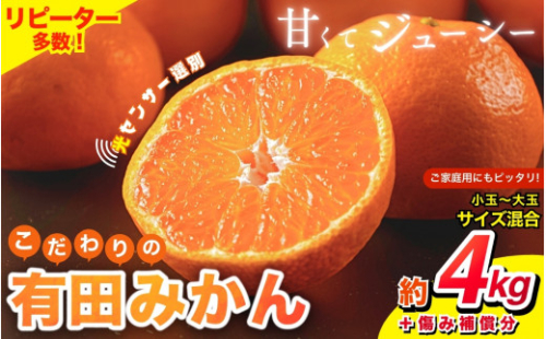 【2026年10月発送予約分】みかん 【家庭用】こだわりの有田みかん 約4kg＋250g(傷み補償分) ※サイズ混合※北海道・沖縄・離島配送不可 ＼光センサー選別／ 【農家直送】 有機質肥料100% みかん ミカン 有田みかん 温州みかん 柑橘 有田 和歌山 【nuk148-10】 2524686 - 和歌山県すさみ町
