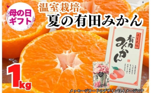 【母の日ギフト】ハウスみかん 温室栽培 夏の有田みかん 1kg 秀品 L M Sサイズのいずれか 和歌山県産 産地直送 【みかんの会】 2524739 - 和歌山県有田川町
