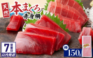 [7営業日以内に発送]神奈川県漁連 天然本マグロ 赤身サク M077-012-01-sp