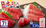 [7営業日以内に発送]神奈川県漁連 天然本マグロ 中トロサク M077-012-02-sp