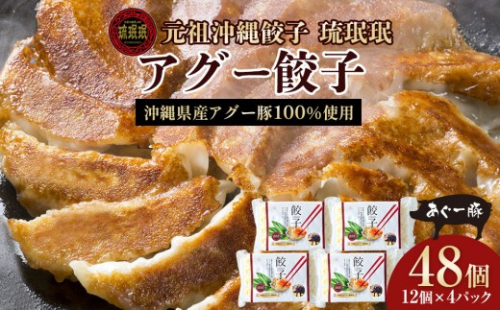 【琉みんみん】沖縄県アグー餃子　4パック 　48個入り 2525248 - 沖縄県浦添市