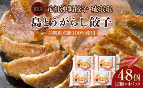 【琉みんみん】沖縄県産島とうがらし餃子　4パック 　48個入り 2525249 - 沖縄県浦添市