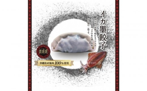 【琉みんみん】沖縄県産イカスミ餃子　4パック 　48個入り 2525251 - 沖縄県浦添市