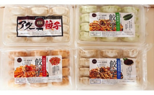 【琉みんみん】沖縄餃子 詰め合わせパック　4パック 　48個入り 2525252 - 沖縄県浦添市