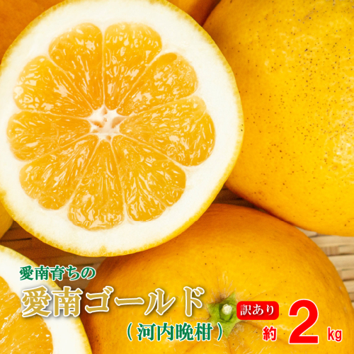 訳あり 愛南ゴールド ( 河内晩柑 ) 2kg みかん 蜜柑 河内晩柑 和製 グレープフルーツ お試し量 傷 不揃い 規格外 常温 愛媛県 愛南町青果市場 発送: 4月上旬～なくなり次第終了 2525253 - 愛媛県愛南町