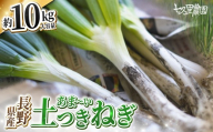 土付き ネギ 約10kg 【2026年10月～発送】| ネギ 葱 野菜 やさい 健康 大容量 長野県 飯田市