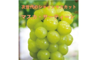 ＜2026年先行受付＞10月下旬より発送「牧丘天空の丘マスカ・サーティーン」約1kg(2～3房)【1582592】