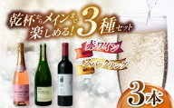 乾杯からメインまで楽しめる特別セレクト はじめての塩尻スパークリング＆赤ワイン3本セット | ワイン わいん ワイン スパークリングワイン 赤 お酒 おさけ 酒 さけ メルロ ロゼ ナイアガラ 五一わいん 林農園 アルプス 井筒ワイン 塩尻市 長野県 信州