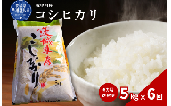 【6カ月定期便】コシヒカリ 5kg（茨城県共通返礼品・城里町産） / 米 こめ コメ お米 おこめ コシヒカリ こしひかり 白米 精米 ごはん ご飯 令和7年産 5kg 定期便 茨城県 城里町 利根町