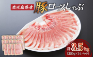【 生活応援 ＋豚生餃子 1P 】 期間限定 鹿児島県産ロースしゃぶ 3.5kg（250g×14P）　K002-034_03_cp