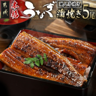 職人手焼きの本格うなぎ蒲焼き5尾_32-33-003-5