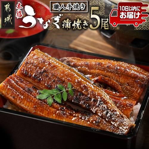 職人手焼きの本格うなぎ蒲焼き5尾≪みやこんじょ特急便≫_32-33-003-5-Q 2526298 - 宮崎県都城市