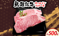 鳥取和牛サーロインステーキ 500g (2枚入)【1682819】