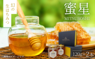 ＜蜜星＞幻の生はちみつ(120g×2本)【1683402】