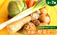 季節の野菜セット(6～7種)【1684547】
