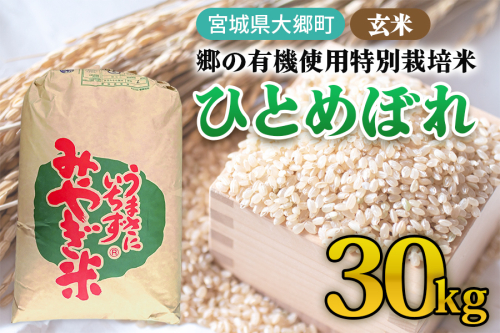 令和7年産 郷の有機使用特別栽培米 ひとめぼれ 玄米 30kg｜令和7年産 2025年産 お米 米 こめ 玄米 特栽米 宮城産 コメ [0296] 2526446 - 宮城県大郷町