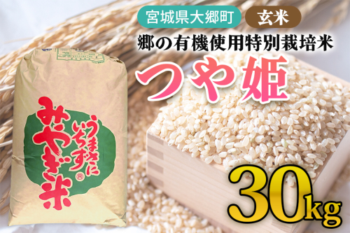 令和7年産 郷の有機使用特別栽培米 つや姫 玄米 30kg｜令和7年産 2025年産 お米 米 こめ 玄米 特栽米 宮城産 コメ [0297] 2526447 - 宮城県大郷町