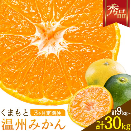 みかん 定期便 秀品 温州みかん 3ヶ月 選べる 内容量 計9kg 計15kg 計30kg 日本フルーツ株式会社《10月上旬-12月末頃出荷》熊本県 長洲町 ミカン 蜜柑 柑橘類 極早生 早生 中生 果物 フルーツ 2526654 - 熊本県長洲町