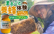 1283.【要予約 親子用（大人1名様+小学生1名様）】あんどう養蜂 まるごと養蜂体験（約3時間）はちみつ大人：600g、小学生：300g付き