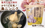 【先行予約】【2026年5～6月頃順次発送予定】カリッと元気！島ニンニク（塩）100g 島ニンニク 塩漬け 無農薬栽培 壺発酵 スタミナ 数量限定 期間限定 宇検村 奄美大島 鹿児島県 送料無料
