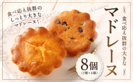 大きい！マドレーヌ（プレーン・チョコチップ） 8個 お菓子 菓子 デザート スイーツ マドレーヌ ビッグ BIG プレーン チョコチップ