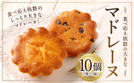 大きい！マドレーヌ（プレーン・チョコチップ） 10個 お菓子 菓子 デザート スイーツ マドレーヌ ビッグ BIG プレーン チョコチップ