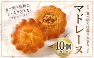 大きい！マドレーヌ（プレーン・くるみ） 10個 お菓子 菓子 デザート スイーツ マドレーヌ ビッグ BIG プレーン くるみ