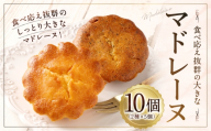 大きい！マドレーヌ（プレーン・紅茶） 10個 お菓子 菓子 デザート スイーツ マドレーヌ ビッグ BIG プレーン 紅茶