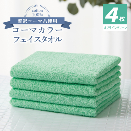 コーマカラーフェイスタオル4枚セット（オプライングリーン）【泉州タオル 国産 吸水 薄手 普段使い 無地 シンプル 日用品】 010B1911 2526979 - 大阪府泉佐野市